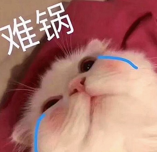 上海第二中学化学老师张越出轨风波持续发酵，背后原因与影响深度解读